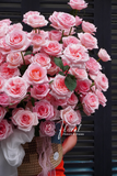 Giỏ hoa Pink Ohara Bloom