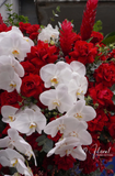 Kệ Hoa Chúc Mừng 1 -  Red Bloom