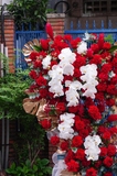 Kệ Hoa Chúc Mừng 1 -  Red Bloom