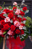 Kệ Hoa Chúc Mừng Crimson Kiss