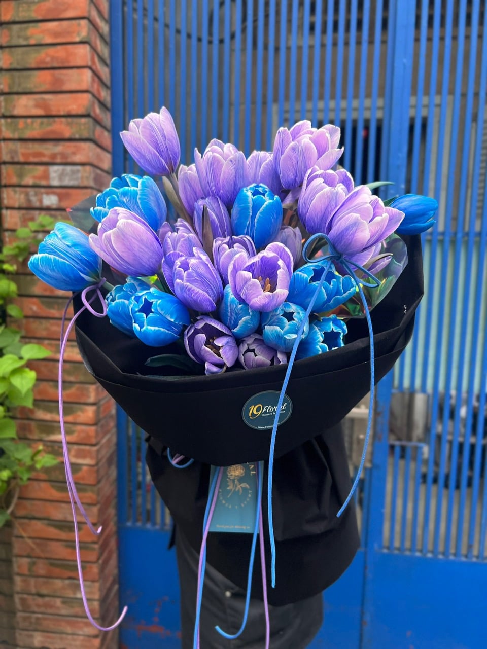 Bó hoa tulip Aurora Petals
