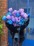 Bó hoa tulip Aurora Petals