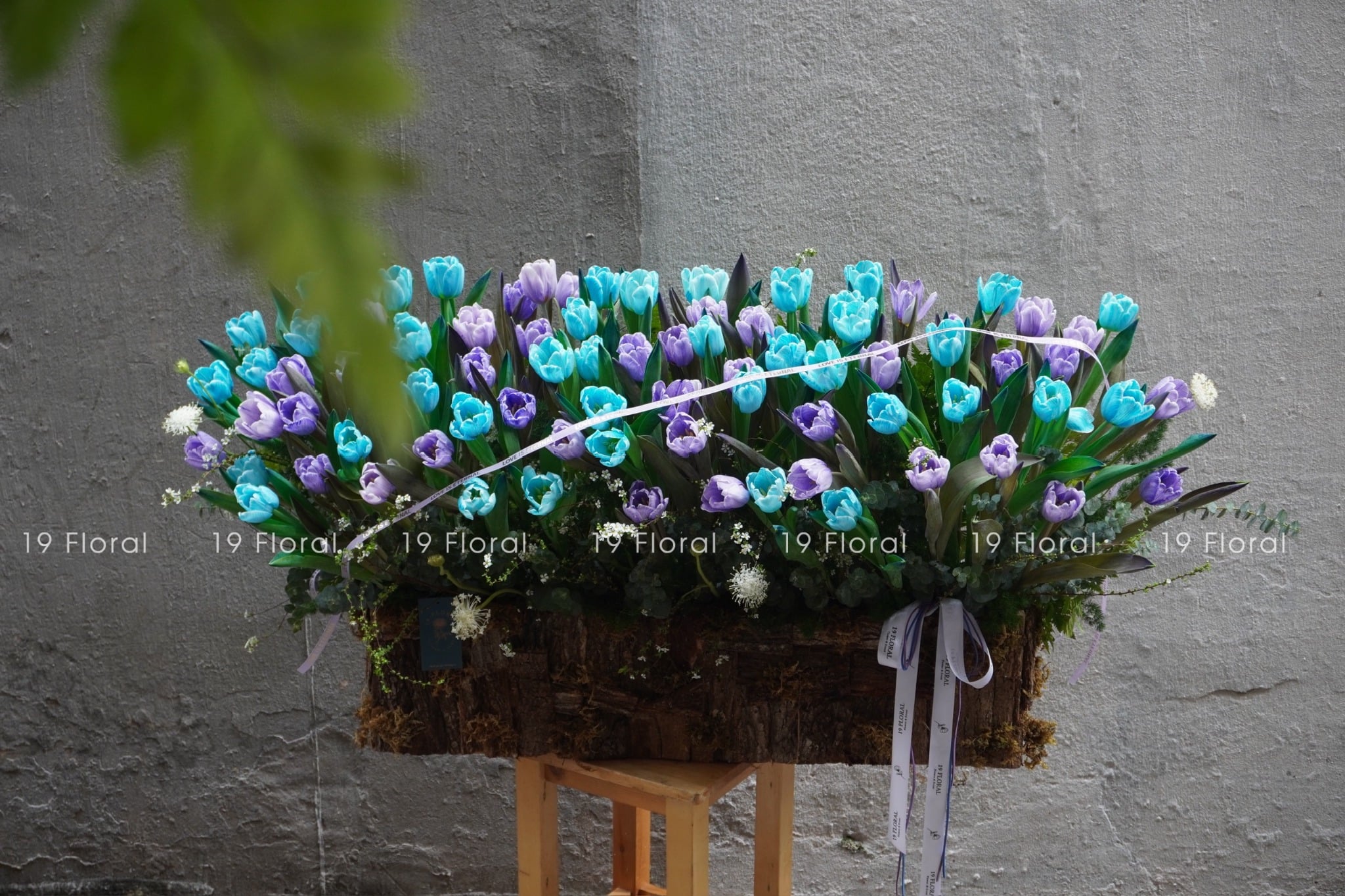 Hộp gỗ Tulip - Violet Bloom