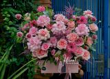 Hộp Hoa Bloom Prism