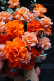 Giỏ hoa Sunset Bloom Basket