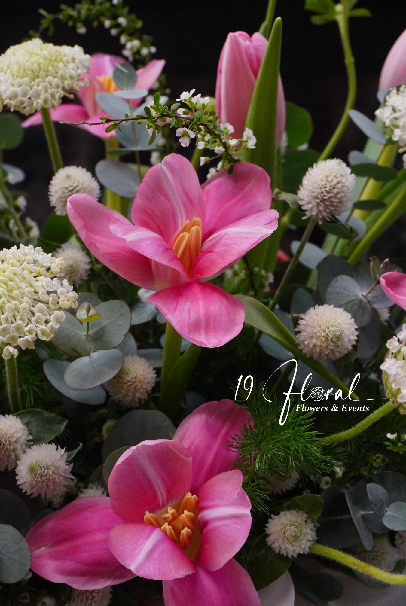 Chậu hoa tulip -  A Petal’s Tale