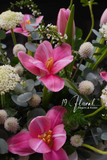 Chậu hoa tulip -  A Petal’s Tale