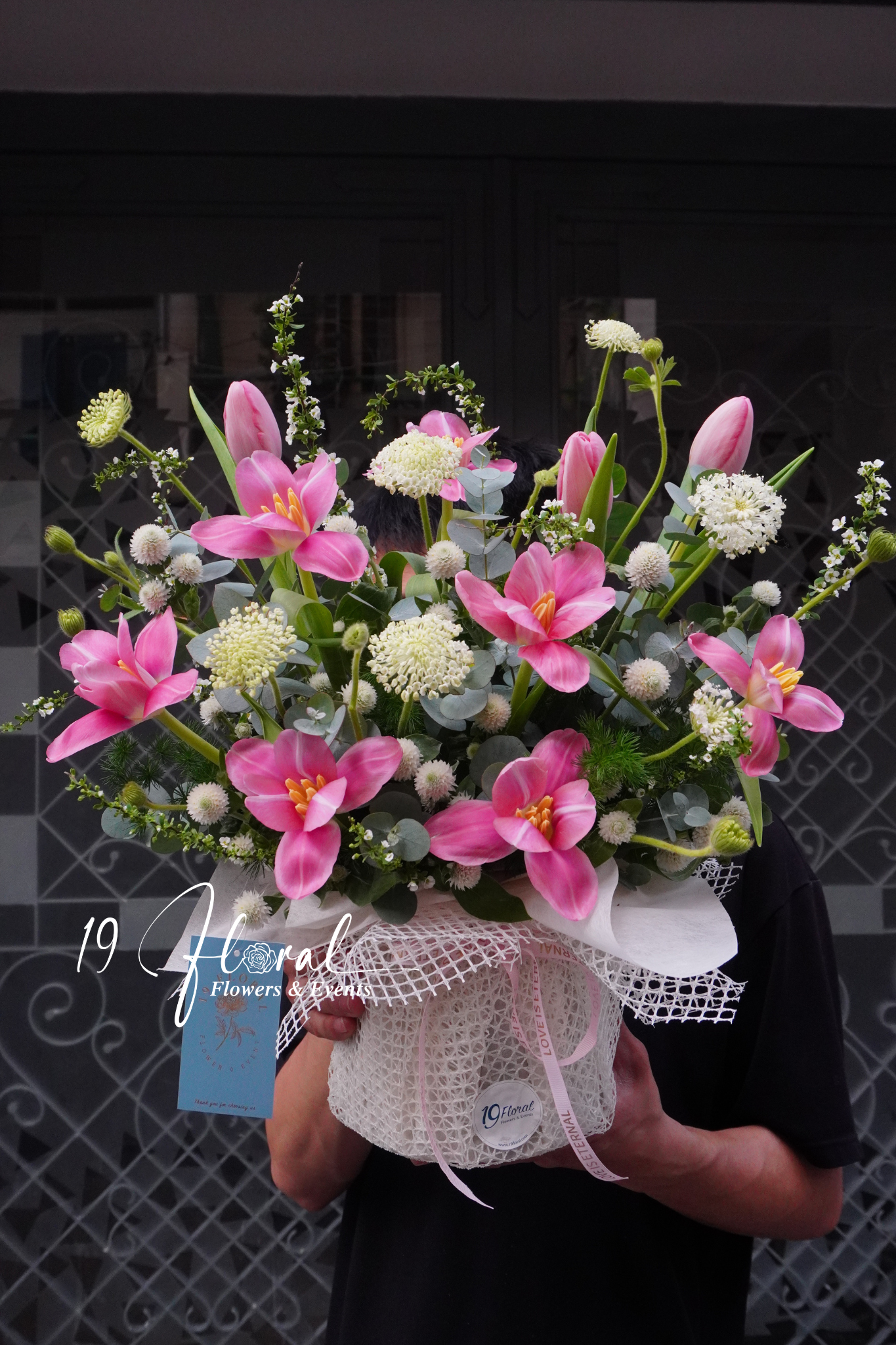 Chậu hoa tulip -  A Petal’s Tale