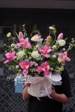 Chậu hoa tulip -  A Petal’s Tale