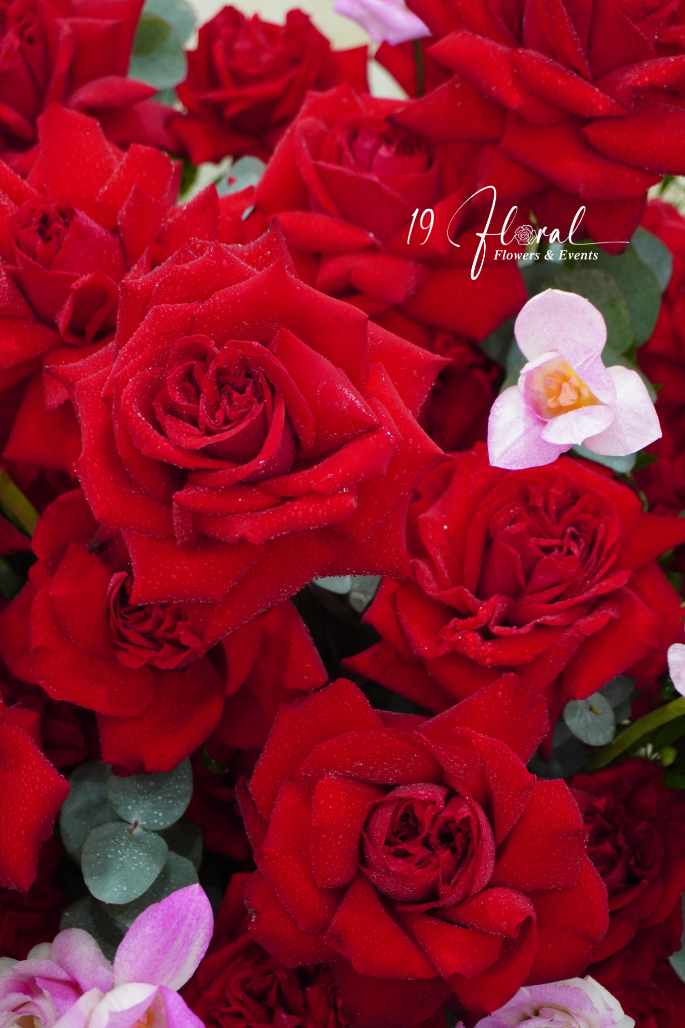 Hộp hoa  Bloom of Love