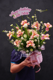 Chậu hoa tulip A Touch of Romance