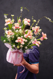 Chậu hoa tulip A Touch of Romance