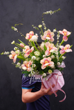Chậu hoa tulip A Touch of Romance