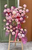 Kệ Hoa Chúc Mừng - Khởi Nguồn Tinh Khôi