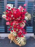 Kệ Hoa Chúc Mừng - Khát Vọng Vươn Xa