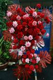Kệ Hoa Chúc Mừng - Khai Xuân Rực Rỡ