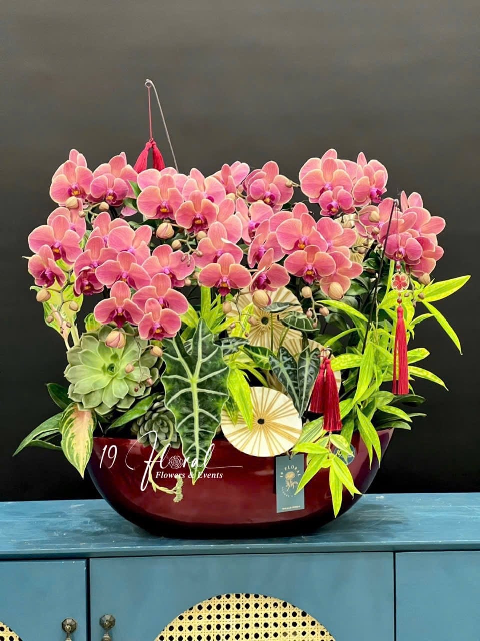 Hoa Lan Hồ Điệp - Vietnamese Charm