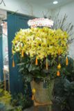 Hoa Lan Hồ Điệp - Inner Light