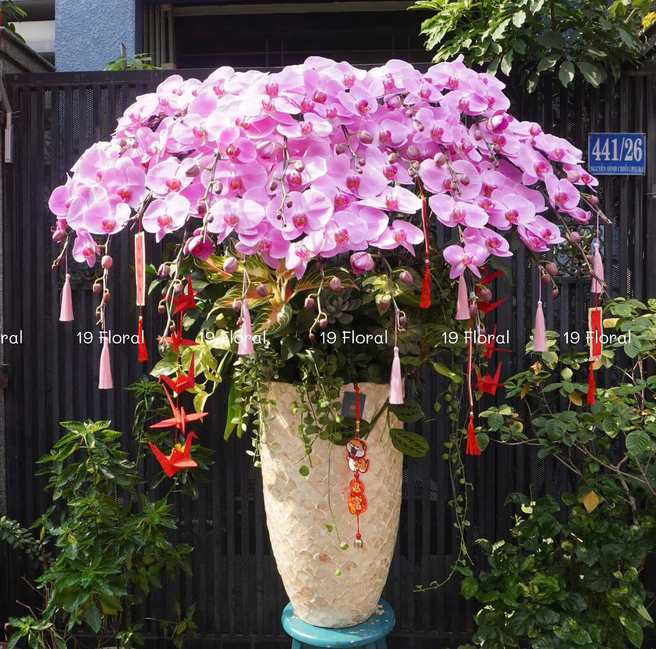 Hoa Lan Hồ Điệp - Serenity Bloom