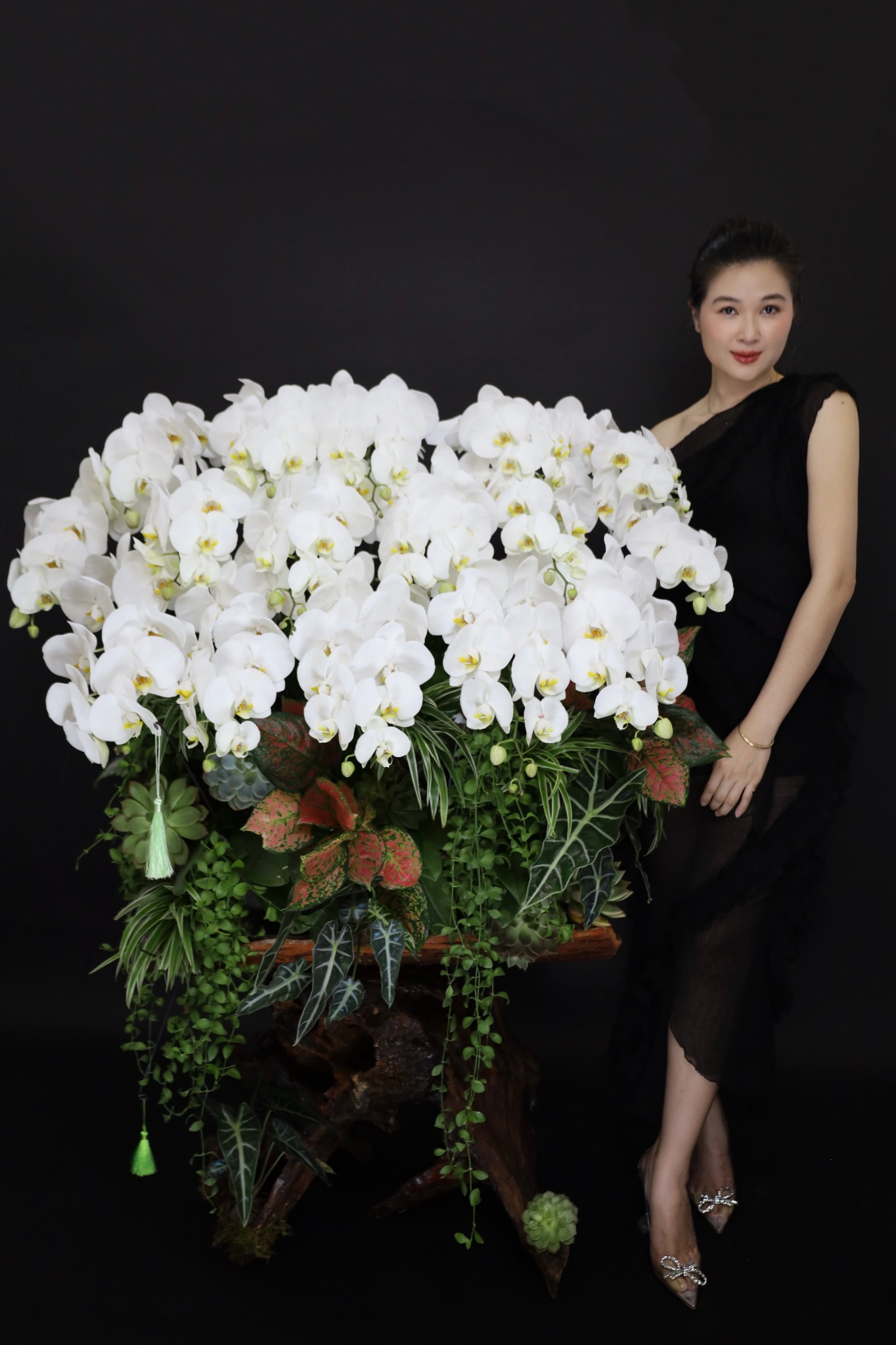 Lũa Lan Hồ Điệp - Quý Phái