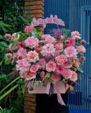 Hộp hoa Perle Rose