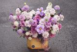 Giỏ hoa Morning Muse