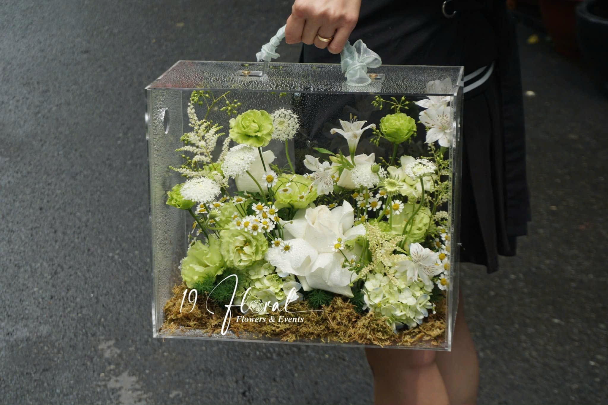 Hộp Hoa Mica - Pearl Trail