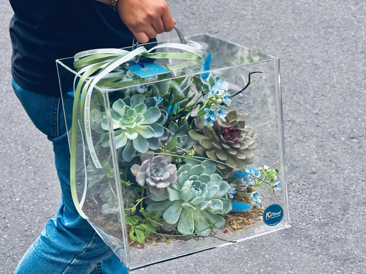 Hộp Hoa Mica - Sen đá