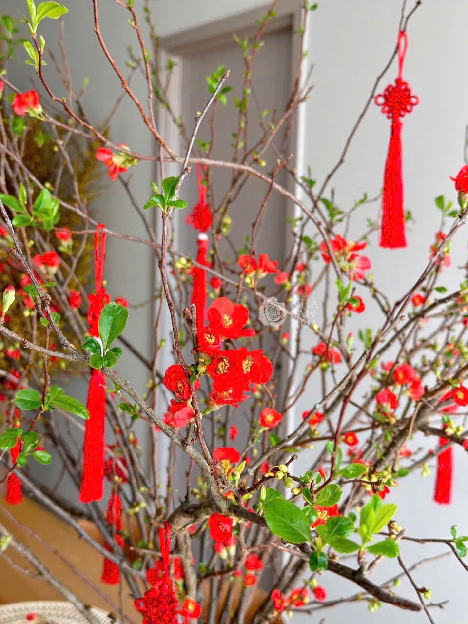 Đào đỏ boke Nhật bản size 120cm