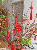 Đào đỏ boke Nhật bản size 120cm