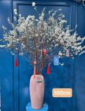 Tuyết Mai nhật bản size 100cm