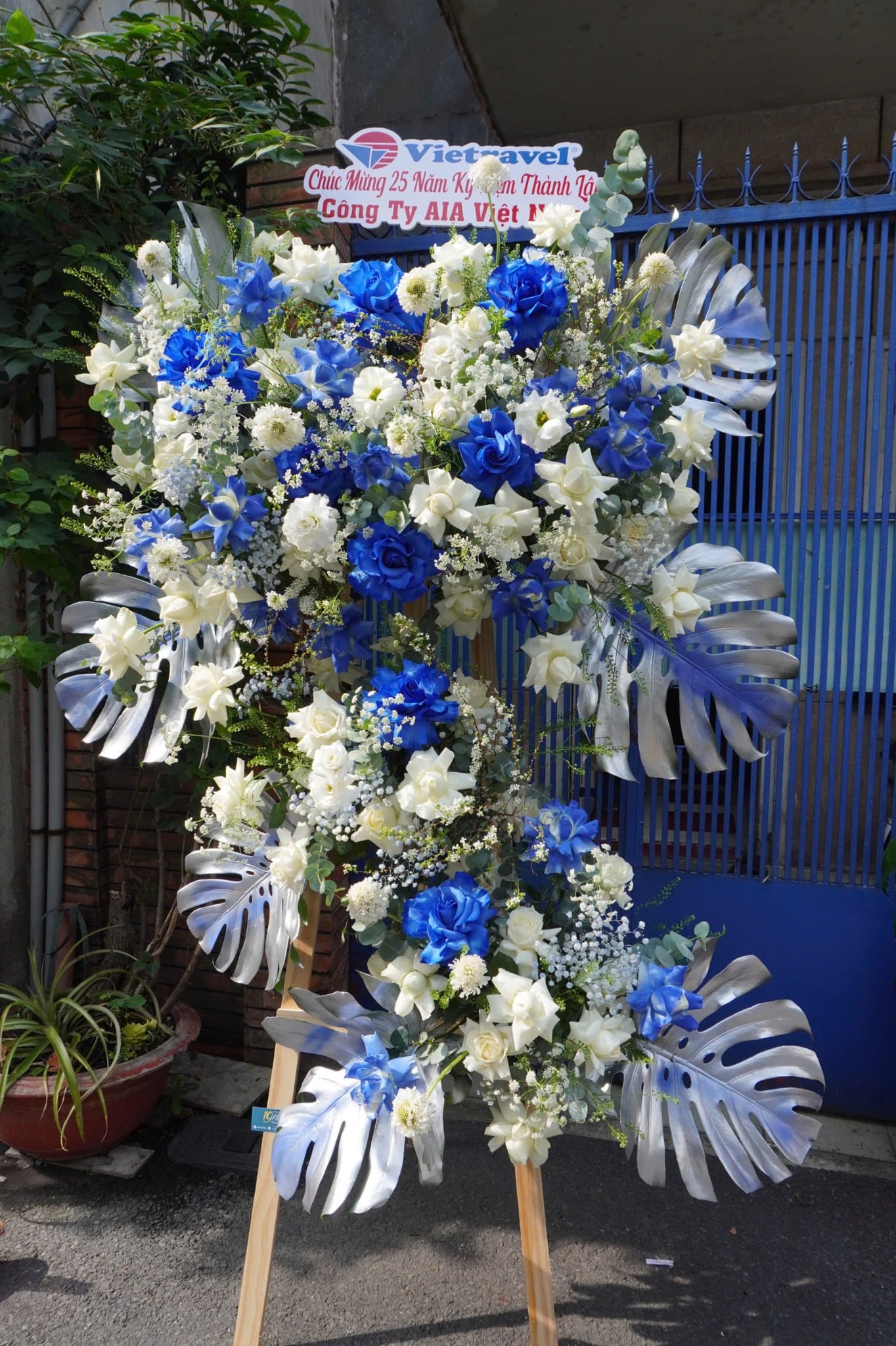 Kệ hoa chúc mừng - Blue Blue