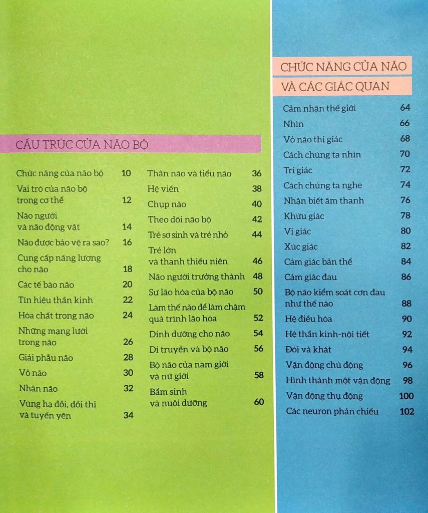 How The Brain Works - Hiểu Hết Về Bộ Não