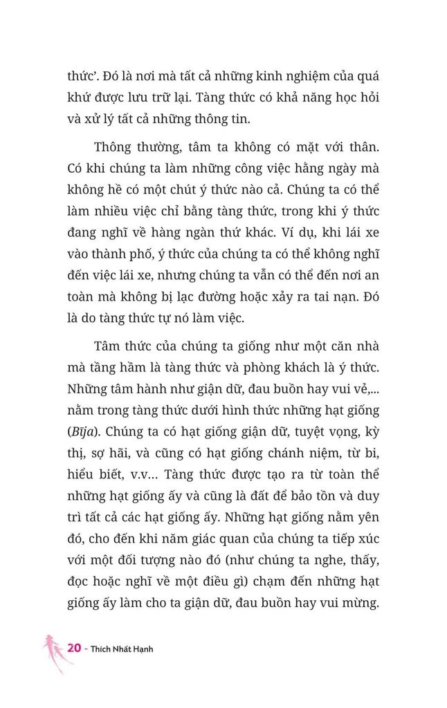 Thiền Sư Và Em Bé 5 Tuổi