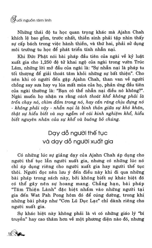 Suối Nguồn Tâm Linh