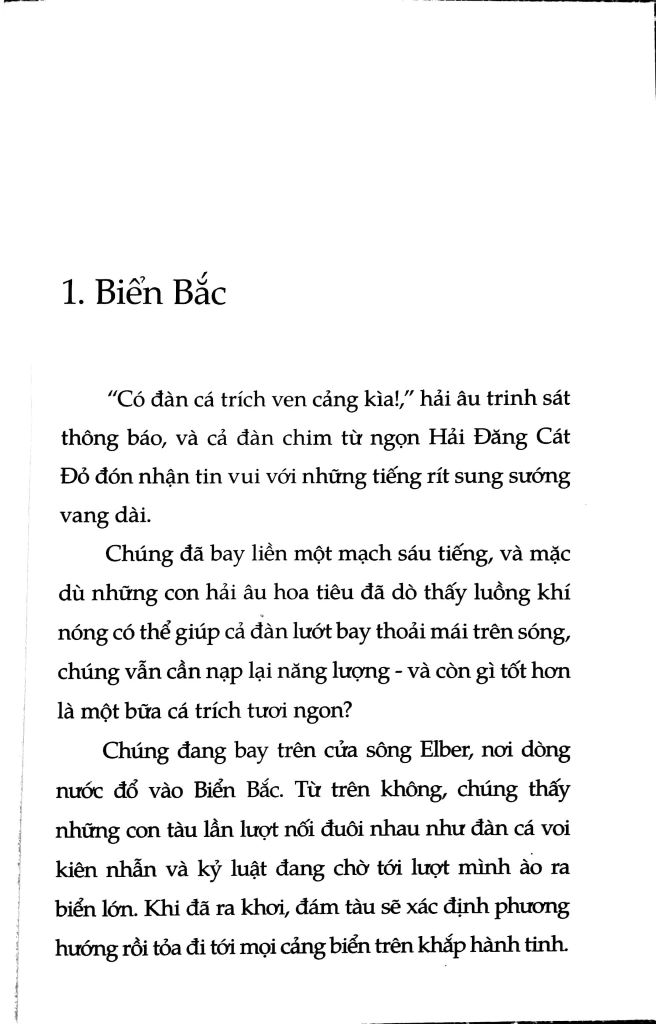 Chuyện Con Mèo Dạy Hải Âu Bay