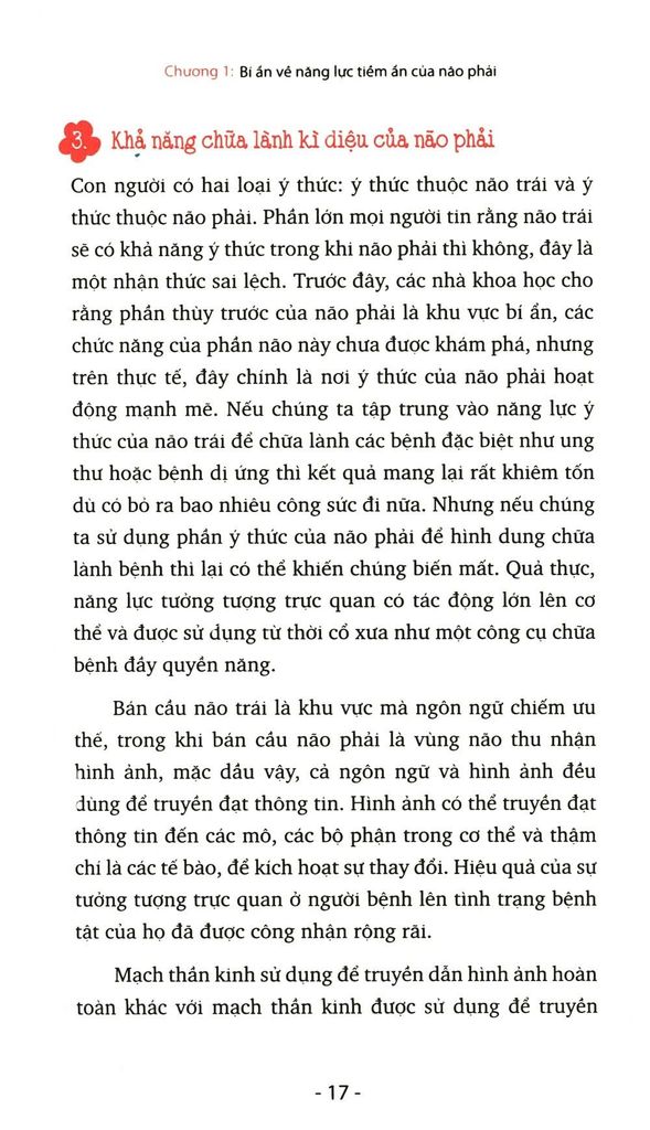 Bí Ẩn Của Não Phải
