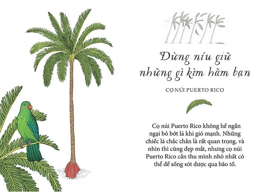 Sống Như Những Cái Cây - Những Bài Học Nhỏ Để Có Nguồn Hạnh Phúc Bất Tận