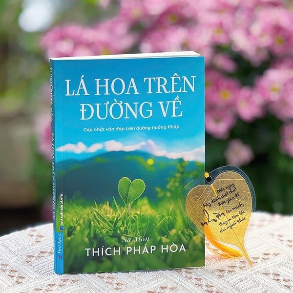 Lá hoa trên đường về