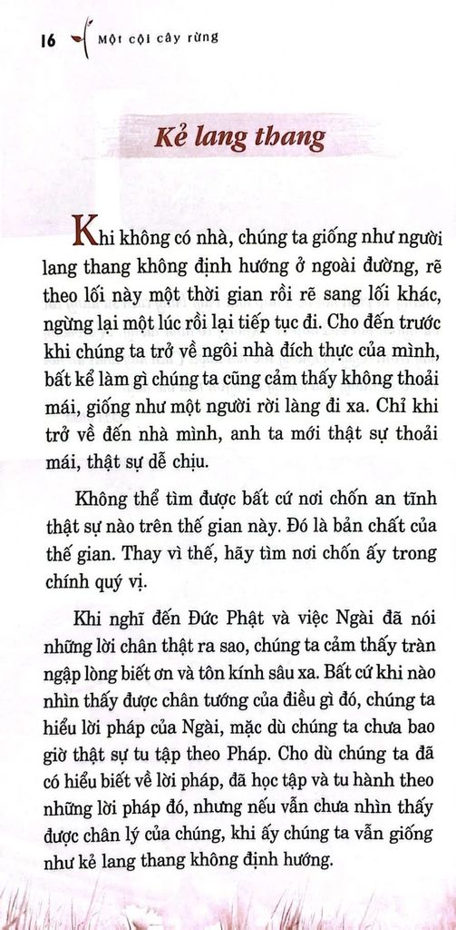 Một Cội Cây Rừng