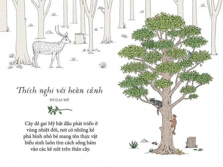 Sống Như Những Cái Cây - Những Bài Học Nhỏ Để Có Nguồn Hạnh Phúc Bất Tận