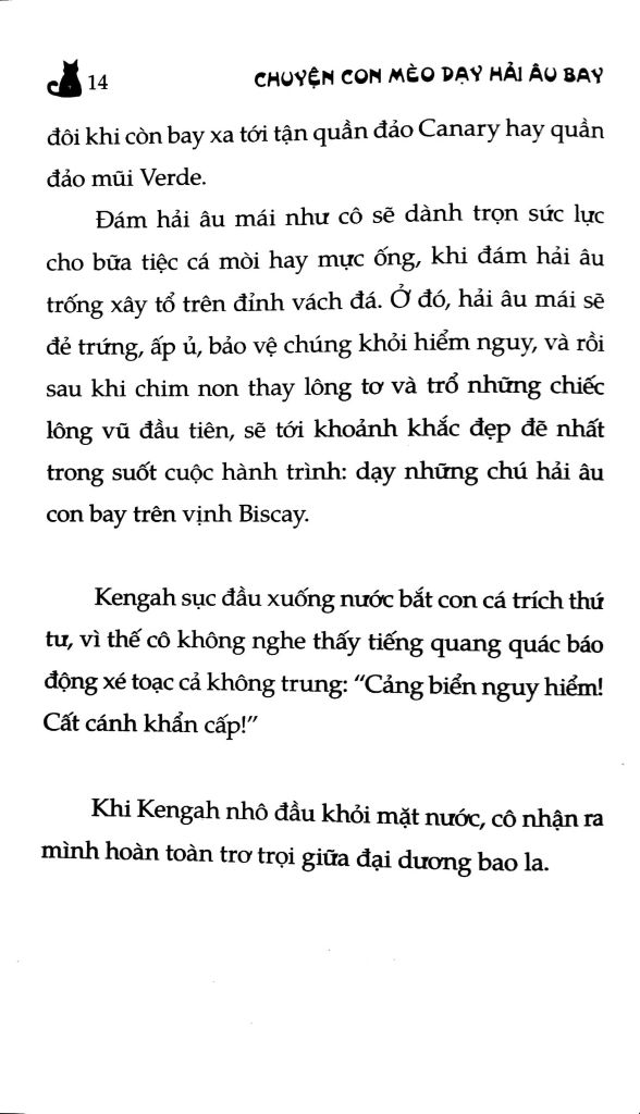 Chuyện Con Mèo Dạy Hải Âu Bay