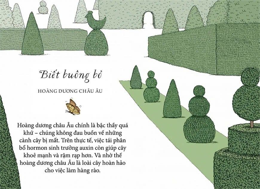 Sống Như Những Cái Cây - Những Bài Học Nhỏ Để Có Nguồn Hạnh Phúc Bất Tận