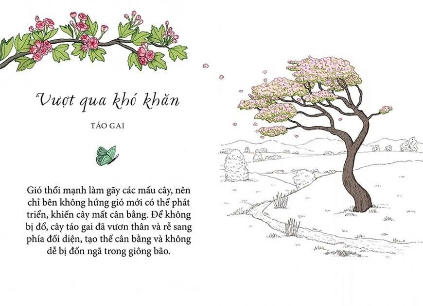 Sống Như Những Cái Cây - Những Bài Học Nhỏ Để Có Nguồn Hạnh Phúc Bất Tận