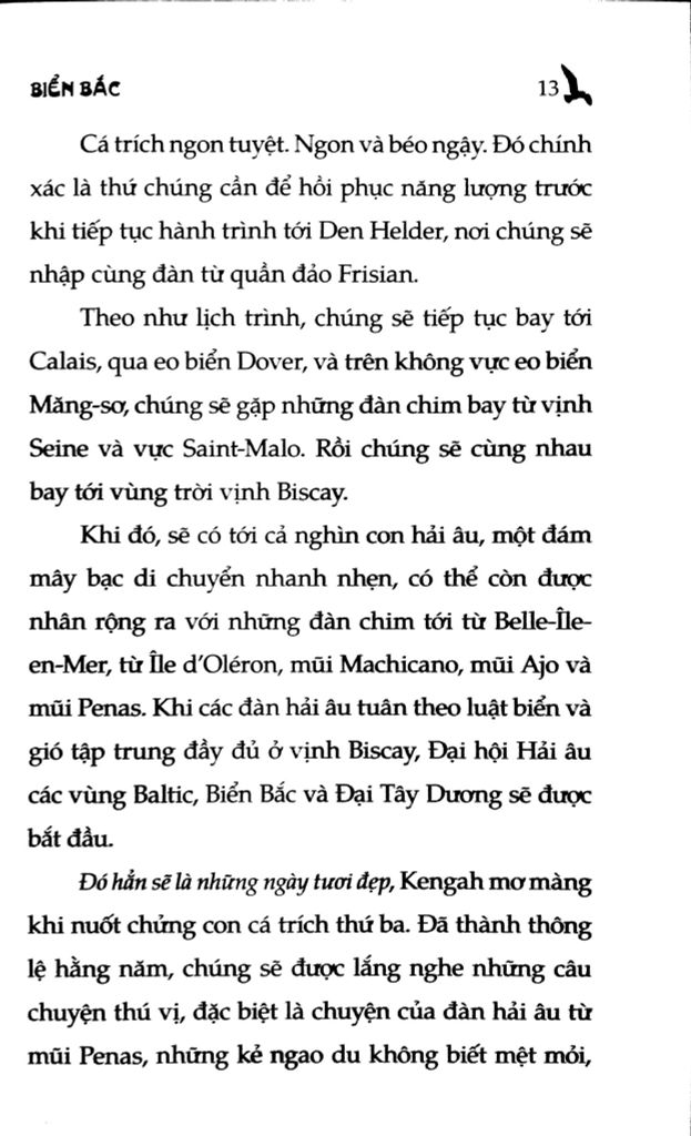 Chuyện Con Mèo Dạy Hải Âu Bay