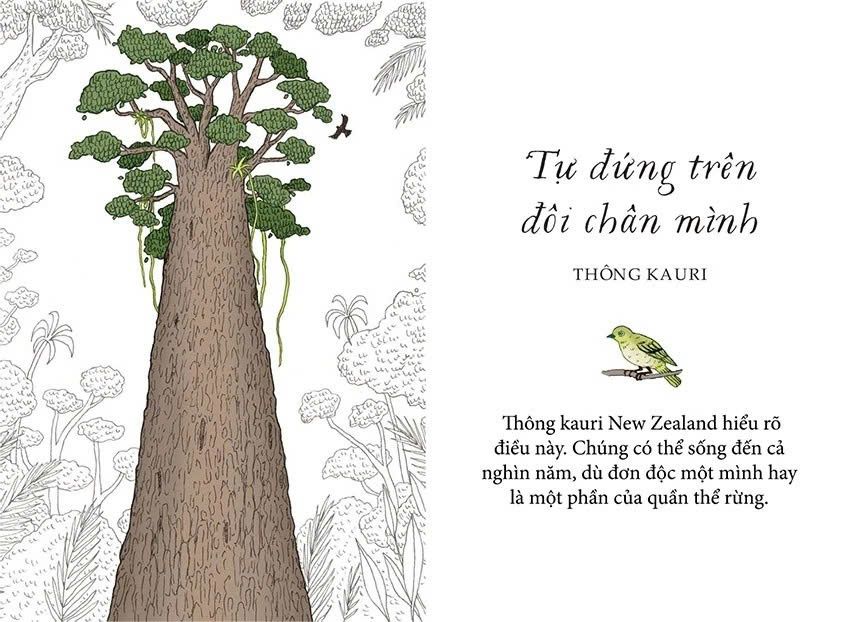 Sống Như Những Cái Cây - Những Bài Học Nhỏ Để Có Nguồn Hạnh Phúc Bất Tận