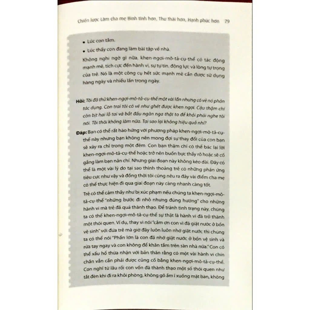 Bình Tĩnh Rèn Con - Chiến Lược Làm Cha Mẹ