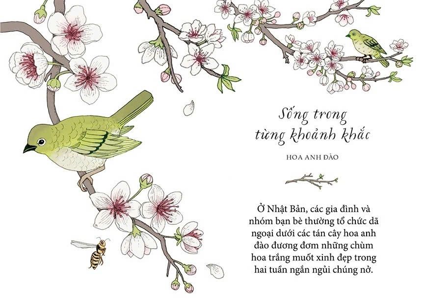 Sống Như Những Cái Cây - Những Bài Học Nhỏ Để Có Nguồn Hạnh Phúc Bất Tận