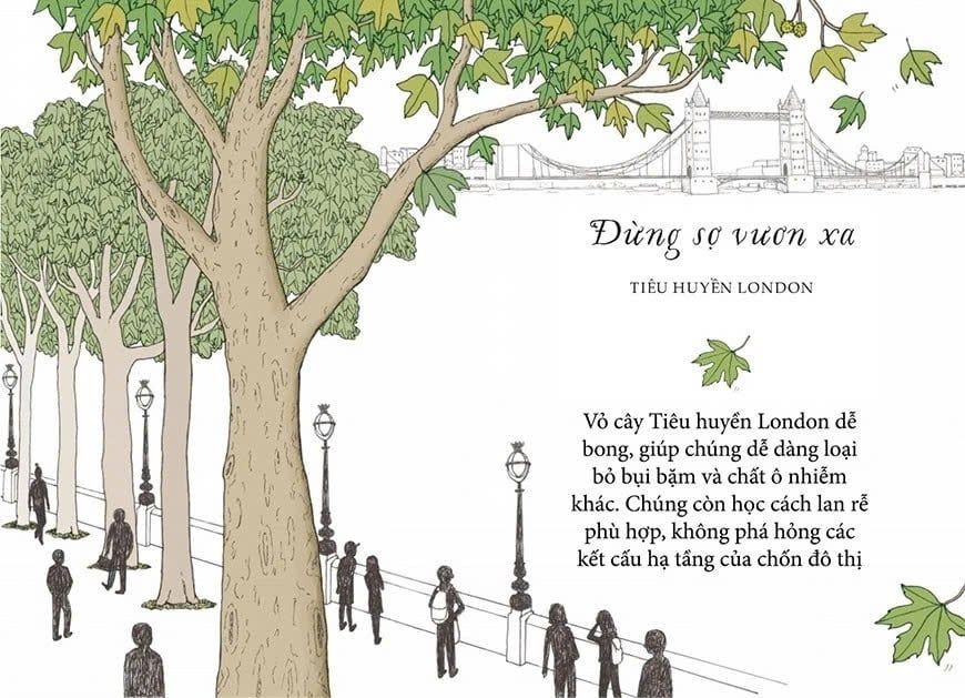 Sống Như Những Cái Cây - Những Bài Học Nhỏ Để Có Nguồn Hạnh Phúc Bất Tận