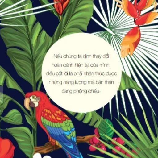 Ho'Oponopono: Sống Như Người Hawaii, Chấp Nhận, Biết Ơn Và Thư Thái